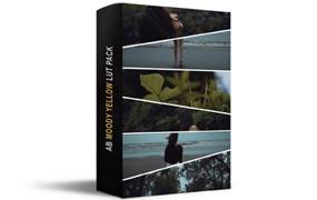 摄影师Ankit Bhatia穆迪黄色预设+PS动作