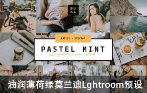 lr预设油润薄荷绿莫兰迪色LR预设BukeShop Pastel Mint
