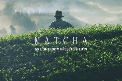 抹茶绿色调LR预设+LUT预设sparklestock Matcha Lightroom Presets and LUTs