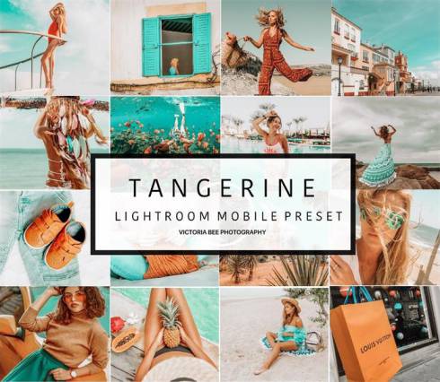 Orange  Teal青蓝色系人像旅游旅拍ins风Lightroom预设 VictoriaBee TANGERINE Lightroom Presets