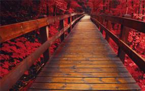 RunNGun柯达红外胶片预设AEROLUX LUT