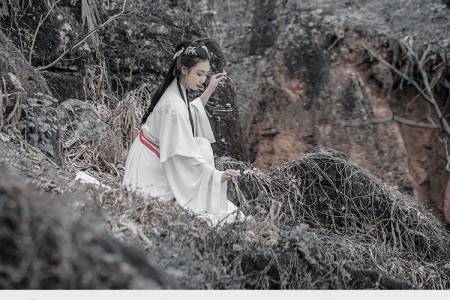 灰调古风预设仙侠古装汉服PR达芬奇FCPX手机LR滤镜PS调色LUTS