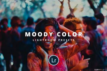 lr预设情绪人文摄影魔笛色调Lightroom预设7款 EmyselfDesign moody color lightroom preset