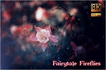 8K超高清童话萤火虫覆叠加图层样式30p 8K Fairytale Fireflies Overla