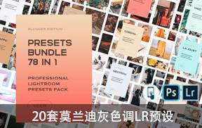 lr预设21套莫兰迪灰色调LR预设合集78合1