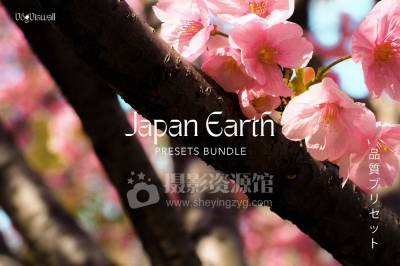 摄影师Anjani Mega日系复古胶片ins人文风光LR/PS/手机LR预设JAPAN-EARTH-PRESETS
