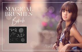 PS散景光斑笔刷Meg Bitton