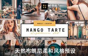 ins天然布朗尼柔和风格Lightroom预设+手机版lr预设 Mango Trate Lightroom