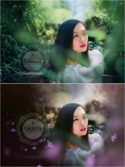 紫色丁香花前景叠加素材