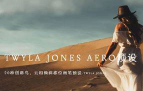 lr预设Meridian TWYLA JONES-航空预设，含MAC版LR插件和教程，添加飞鸟，云朵