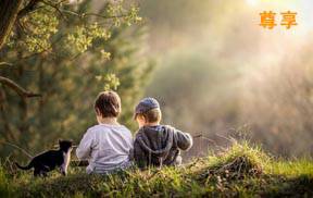 国际顶级儿童摄影大师Iwona Podlasińska梦幻儿童后期教程第二季中文字幕