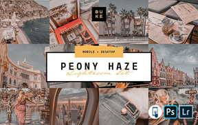 lr预设中性灰假金色调LR/PS预设BukeShop Peony Haze lightroom presets