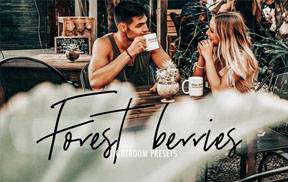 lr预设森系浆果古典胶片Lightroom预设+手机LR滤镜 KIIN FOREST BERRIES Lightroom Presets