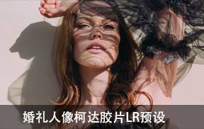 lr预设摄影师JOSE VILLA电影婚礼柯达胶片LR预设