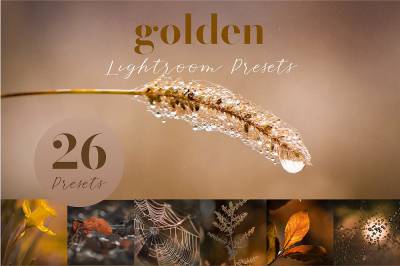 lr预设微距摄影风光金色调预设golden lightroom presets