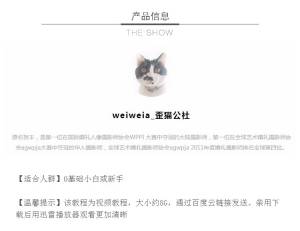 歪猫婚礼workshop全程跟拍摄影教程