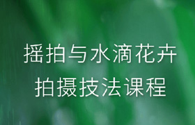 摇拍与水滴花卉摄影课程