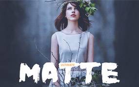 lr预设终极哑光PS/LR预设100个Ultimate Matte Lightroom 预设