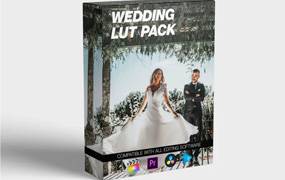 婚礼 LUT 包 - Final Cut Pro / Adob​​e Premiere Pro