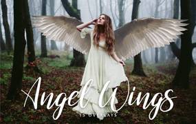仙女翅膀合成PNG素材