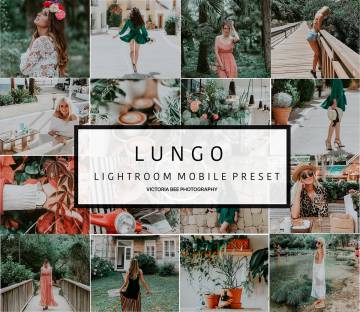 高品质的美学INS清新胶片LR预设+手机版lr预设Victoria Bee Lightroom