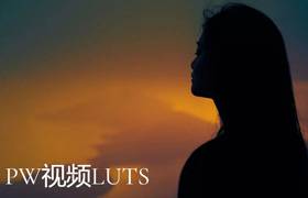 俄罗斯摄影师Polina Washington LUTS预设