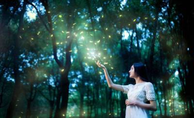 萤火虫之恋-萤火虫笔刷特效和夜光发光图层样式