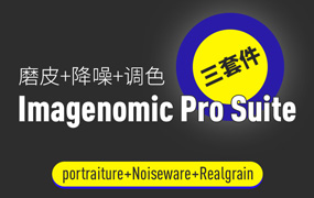 PS磨皮降噪调色插件三件套V2001+一键PS动作 最新汉化版 Imagenomic Professional Plugin Suite