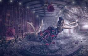 摄影师Tara Lesher 豪华PS笔刷系列VOL.1花鸟云雨星空闪电等