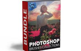 2500+ 专业摄影PHOTOSHOP笔刷 2.34G