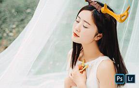 lr预设森系日系清新文艺胶片唯美LR+ACR预设