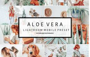 lr预设夏季芦荟绿+椰芒黄色调通透清新Lightroom胶片预设VictoriaBee ALOE VERA Lightroom Presets