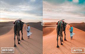 INS风格电影胶片LR预设+手机lr预设