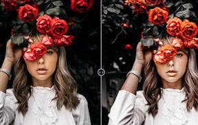 黑色调PS LR预设和PS动作Black Tones Photoshop Action &