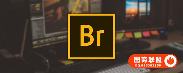 Bridge2023 13.0.3ACR15.4 WIN系统