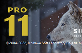 SILKYPIX Developer Studio Pro 11.0.13.0 x64汉化版|WinX64|RAW照片处理软件WinX64