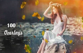 100张PS叠加图片漏光、树叶、萤火虫