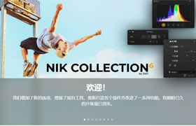 Nik Collection 6.6(Nik插件套装)DxO Nik Collection WIN中文版