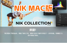N-ik Collection 6 (Nik插件套装)D-x-O N-ik Collection 6.8.0 MAC中文版