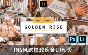 INS风滤镜玫瑰金LR预设