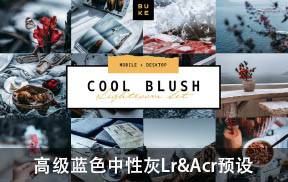lr预设当前最流行的高级中性灰蓝色Lightroom预设 BukeShop Cool Blush lightroom presets