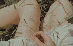 8款法式胶片ins莫兰迪调人像静物PS/LR/LUT预设