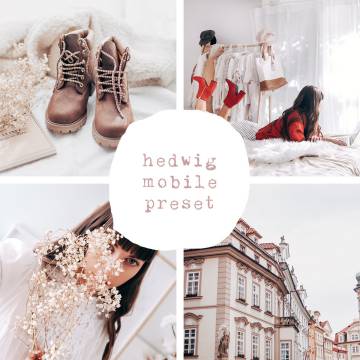 lr预设海德薇格 自然光粉色胶片色调Lightroom预设 Shethespy Hedwig Mobile Lightroom Presets