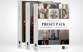 lr预设摄影大师Vanessa Joy婚礼人像预设包