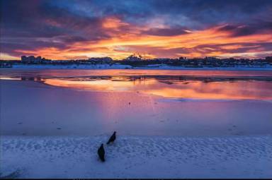 自由职业摄影师 Plus 价值3298元