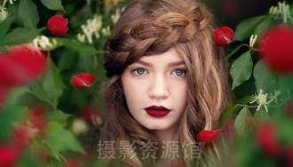 摄影后期高清玫瑰花瓣叠加合成前景素材