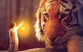 国外大师级梦幻合成创意教程合集