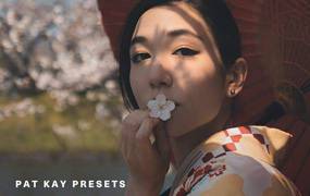 lr预设Pat Kay人像预设PS/LR/手机LR