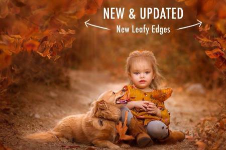 梦幻秋季落叶飘叶素材 含ATN动作