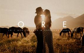 lr预设Archipelago ORE LR/ACR 温暖胶片人像预设 + 配置文件预设